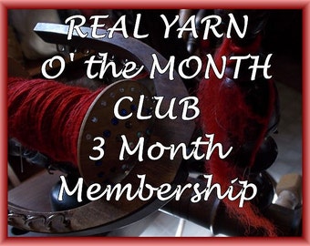 YARN of the Month Club .....A New Handspun Yarn Treasure Each month... for 3 months, FREE  Shipping!