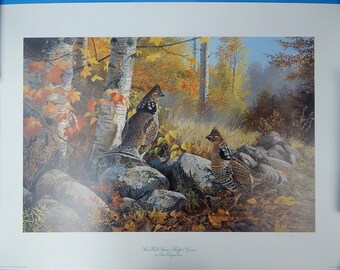 ruffed grouse print etsy