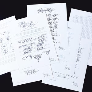 Basic Blühendes Arbeitsblatt Bundle Moderne Kalligraphie Alphabet Set DRUCKBARE SOFORTIGER DOWNLOAD Arbeitsblatt Anleitung