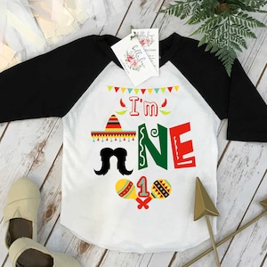 First Birthday Shirt, Fiesta Birthday, 1st Birthday shirt, Fiesta and Fun, Taco Party, Taco Bout Fun, Taco Birthday, Mexican Fiesta Party
