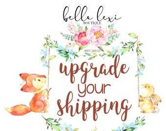 Add On Item to Upgrade Your Shipping Time on an Existing Order