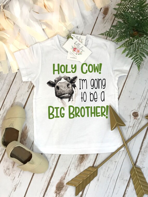 promoted to big brother onesie