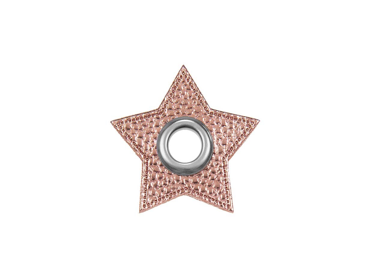 10pcs Silber Sterne gestickte Abzeichen Eisen auf Patches Motiv Applique  Aufkleber