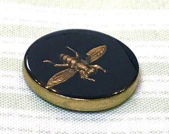 Jim Knopf resin button fly