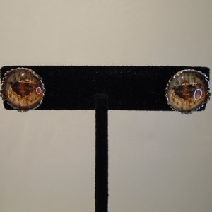 Fantasy Map Earrings