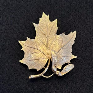 May include: A gold-toned metal brooch shaped like a maple leaf with a textured, brushed finish. The design includes a prominent central leaf with defined veins and a small stem at the bottom featuring two attached winged seeds, known as samaras.