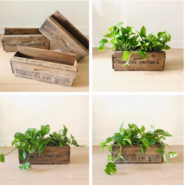 Wood Crate Wall Planters - Farm Crates & Wine Boxes on a Wall