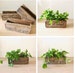 Wood Crate Wall Planters - Farm Crates & Wine Boxes on a Wall 