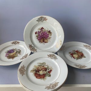 Juego de 5 platos de postre surtidos para frutas de 19 cm (7 1/2") de Alemania, con detalles dorados. Marca Bavaria.