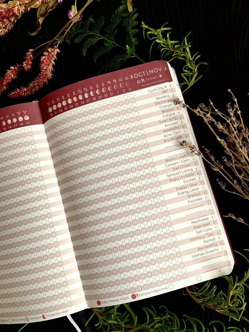 Cycles Journal 2021 Menstrual Tracking Planner Lunar Etsy