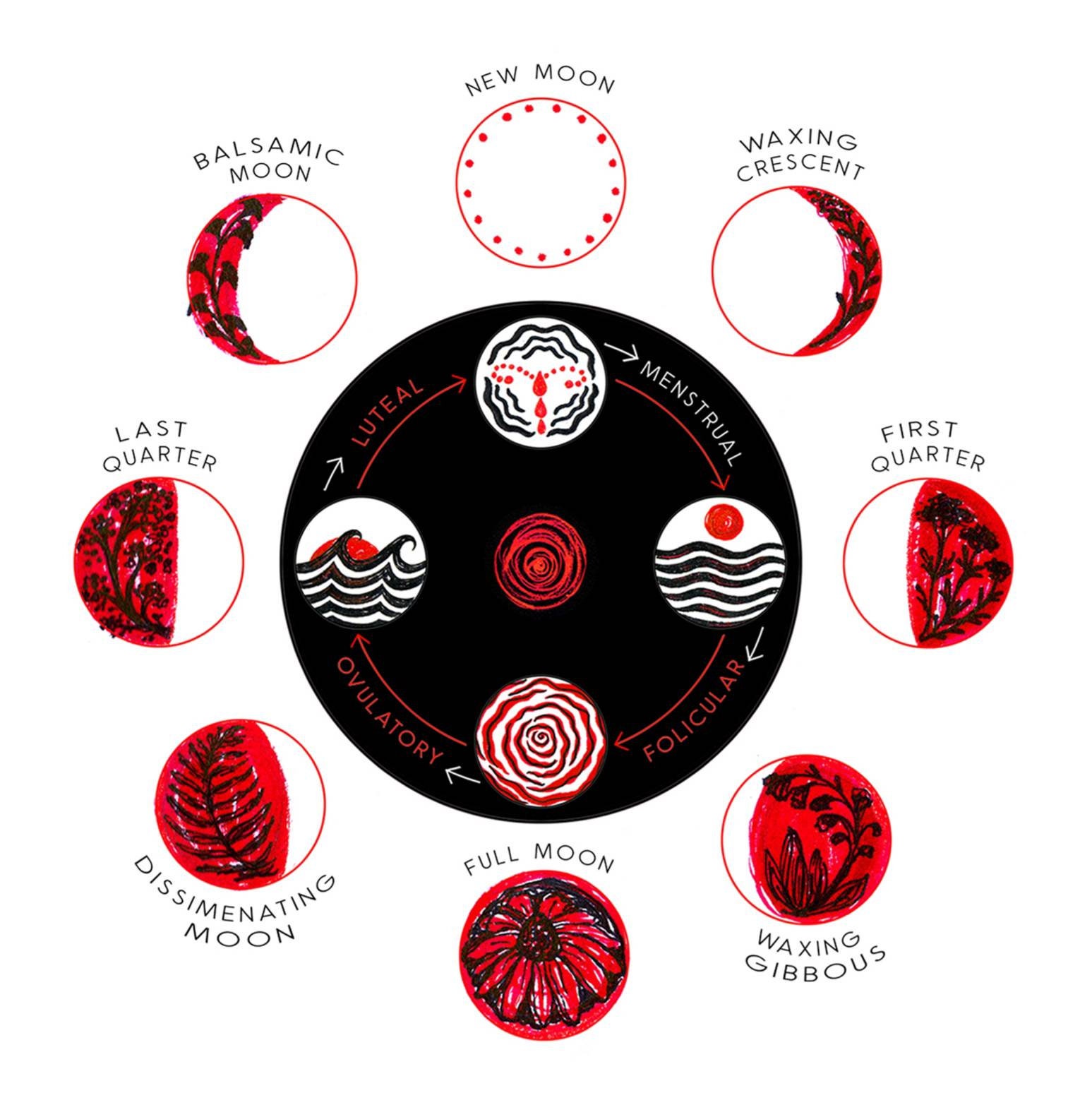 Cycles Moon and Menstrual Phases Print / Flow Chart Illustration -   Norway