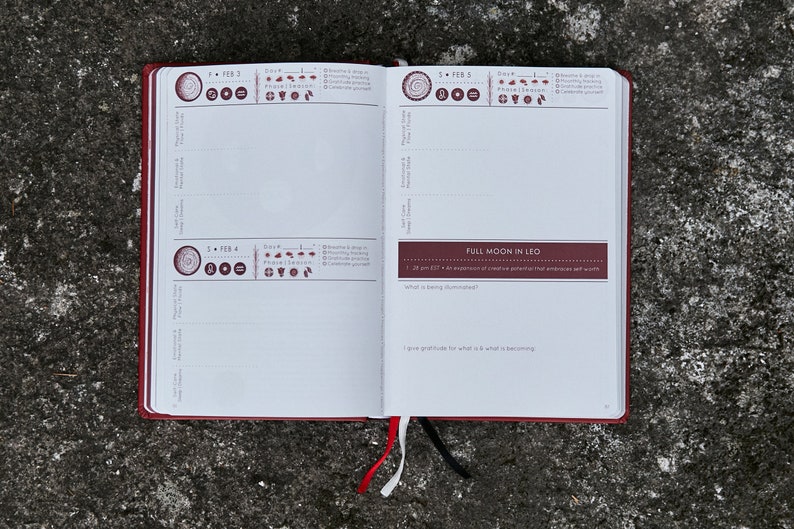 Cycles Journal 2023 PREORDER Menstrual Tracking Planner Etsy 