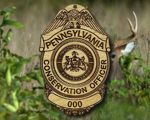 Patch Vintage Beautification Conservation Award – Keystone State Pennsylvania PA