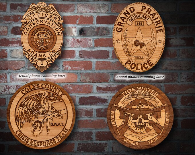 Miscellaneous Police Badge or Patch Plaque 5