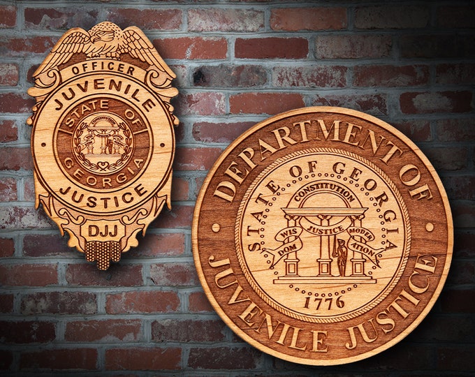 Georga Juvenile Justice Badge or Patch Plaque