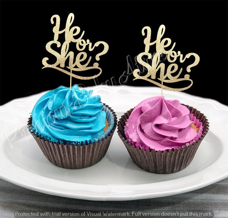 He or She Cupcake Topper Set of 12 , Gender Reveal Cupcake Toppers