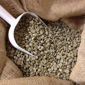 27% OFF SALE your choice 12 pounds select beans or 7 pounds Indian monsooned Malabar image 5