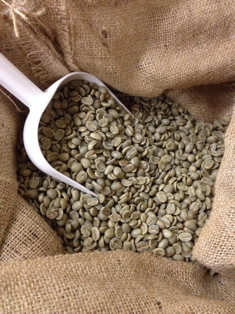 27% OFF SALE your choice 12 pounds select beans or 7 pounds Indian monsooned Malabar image 5