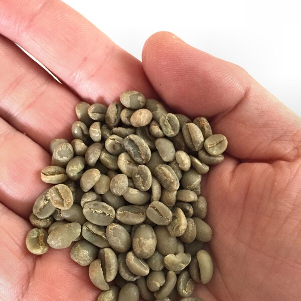 5 lbs. natural ETHIOPIA YIRGACHEFFE