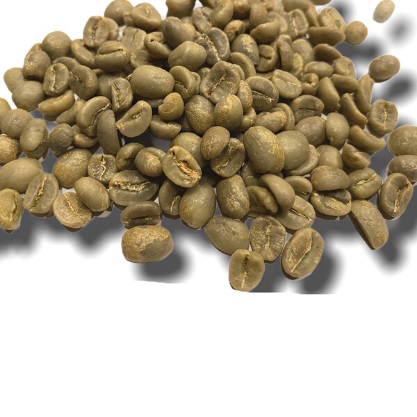 27% OFF SALE - your choice 5 pounds of select beans or 3.5 pounds of Indian monsooned malabar