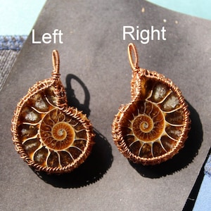 Ammonite Wire Wrap Pendant