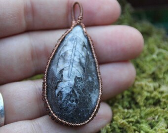 Orthoceras Copper Wire Wrap