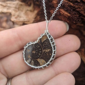 以下が含まれることがあります： 銀色のチェーンネックレスに、ワイヤーで囲まれた化石化したアンモナイトのペンダントが飾られています。アンモナイトは、渦巻き模様の茶色と黒です。