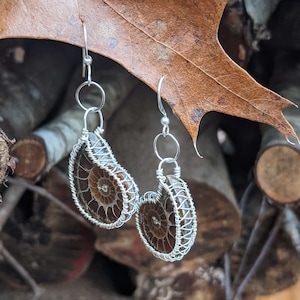 Ammonite Earrings
