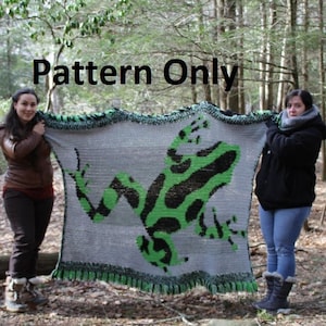 Dart Frog Blanket Crochet *Pattern Only*
