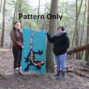 Pode incluir: Duas pessoas estão segurando um cobertor de crochê com um gecko em um fundo turquesa. O cobertor está sendo segurado em um ambiente de floresta. O texto "Pattern Only" é visível na parte superior da imagem.