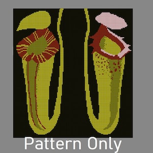 Manta de ganchillo de plantas de jarra (Nepenthes) *Solo patrón*