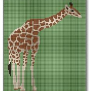 May include: A brown and white giraffe with a long neck and long legs stands on a green background.
