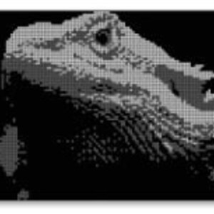 May include: Black and white pixel art image of a bearded dragon's head. The dragon's eye is a dark gray circle with a black pupil.