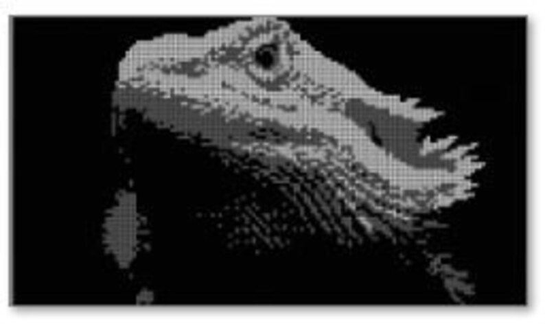 May include: Black and white pixel art image of a bearded dragon's head. The dragon's eye is a dark gray circle with a black pupil.