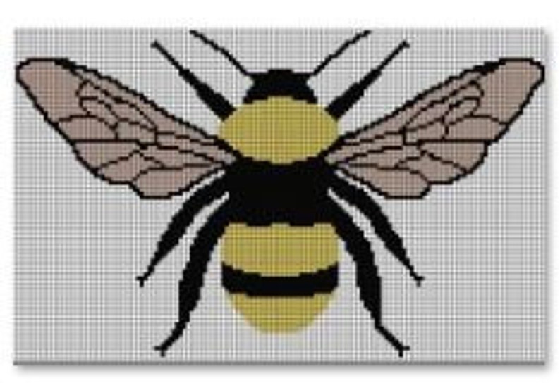 May include: A black and yellow bumblebee with brown wings. The bumblebee is in flight with its wings spread out.