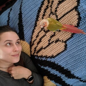 May include: A woman is lying on a blue, tan, and black crocheted blanket with a green and red parrot perched on the blanket.