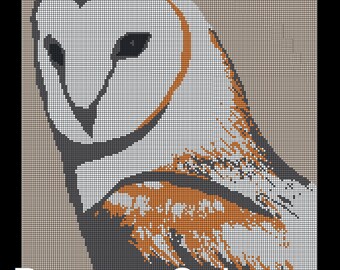Barn Owl Blanket Crochet *Pattern Only*
