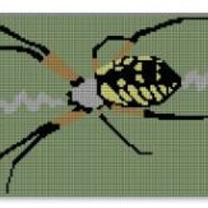 May include: A black and yellow garden spider with long legs sits on a web.