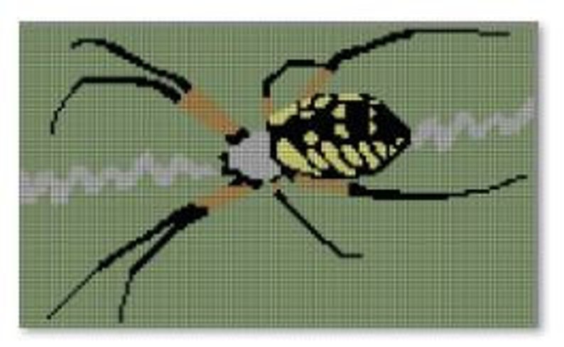 May include: A black and yellow garden spider with long legs sits on a web.