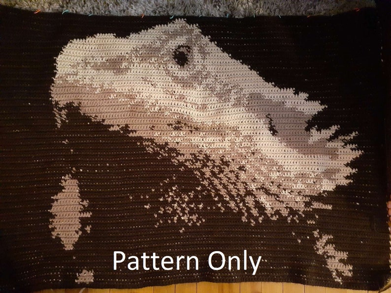May include: A crochet pattern for a blanket featuring a bearded dragon in brown and beige yarn. The pattern is for a large blanket with the dragon's head in the center. The text "Pattern Only" is visible at the bottom of the image.