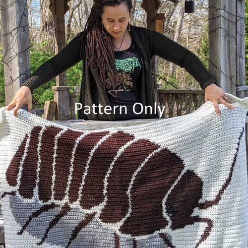 Pattern Only Crochet Crab Rangoon Couch Pillow Set AKA Couch Etsy