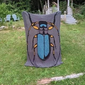May include: A gray crocheted blanket with a large blue and yellow beetle design. The blanket is folded and sitting on a grassy lawn.