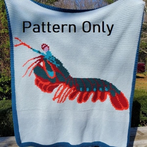 Mantis Shrimp Crochet Tapestry *Pattern Only*