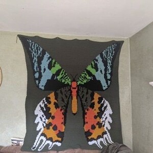 May include: A crocheted wall hanging featuring a large butterfly with colorful wings. The butterfly is on a dark green background.