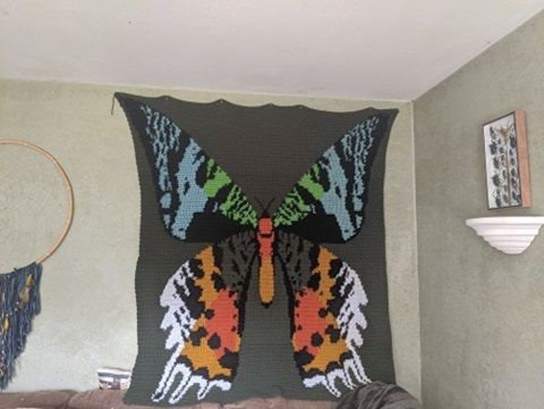 May include: A crocheted wall hanging featuring a large butterfly with colorful wings. The butterfly is on a dark green background.