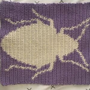 Practice Pattern Kit Crochet (8 smaller patterns) Bug Themed image 5