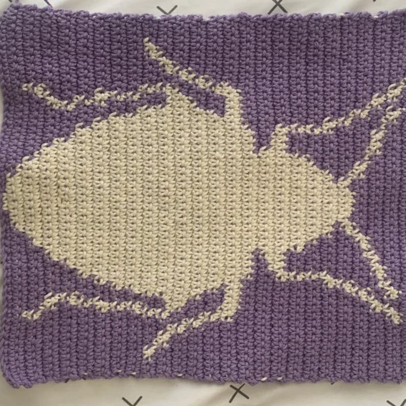 Practice Pattern Kit Crochet (8 smaller patterns) Bug Themed image 5