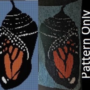 May include: Two images side-by-side of a monarch butterfly chrysalis pattern. The chrysalis is black, white, and orange. The image on the right is a pattern on a blue background. The text "Pattern Only" is on the right side of the image.