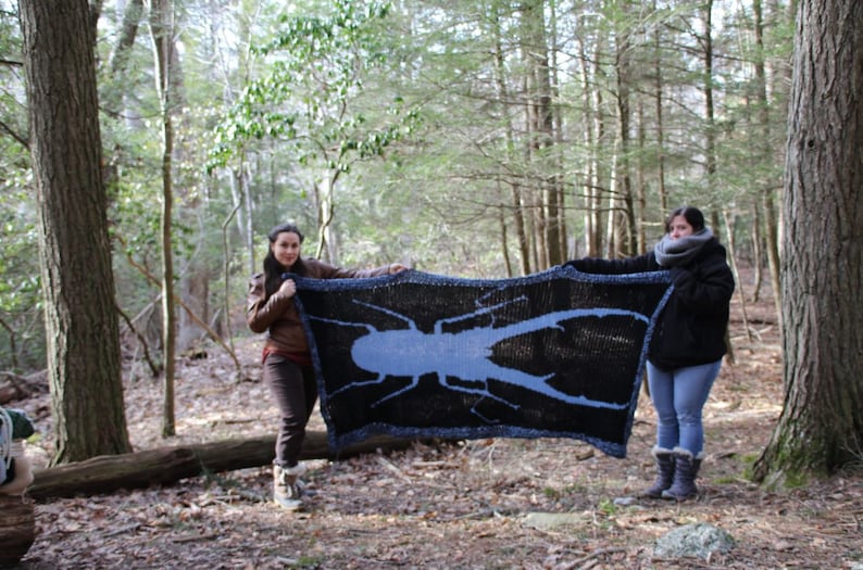 Stag Beetle Crochet Pattern Only Blanket image 5