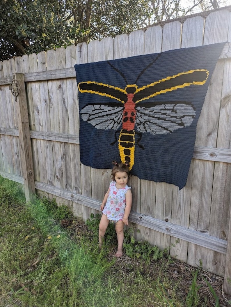 May include: A crocheted blanket featuring a large, colorful insect design. The blanket is hanging on a wooden fence, and a young child is standing in front of it.